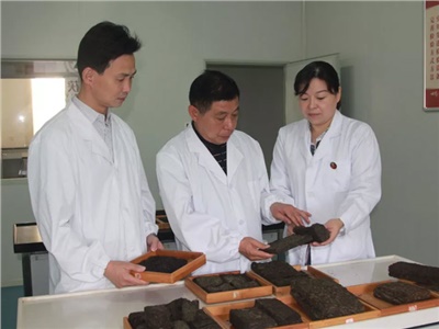傳承茯茶非遺技藝、開拓創(chuàng)新引領(lǐng)行業(yè)發(fā)展