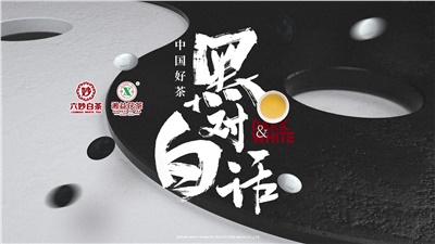 首屆黑白對話高峰論壇圓滿落幕！湘益茯茶備受關(guān)注！